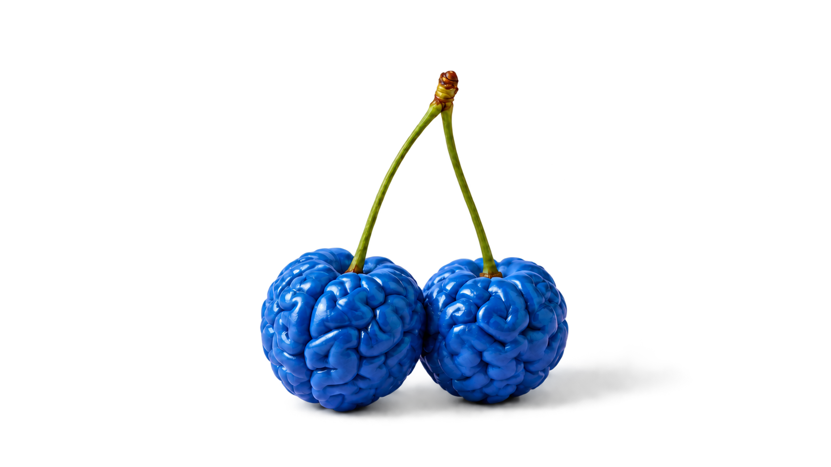 Twee blauwe hersenen in de vorm van kersen